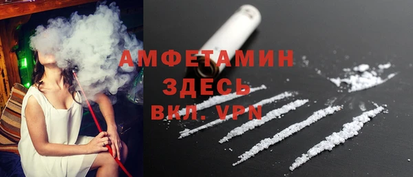 гашик Мегион