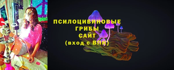 прущие крисы Медвежьегорск