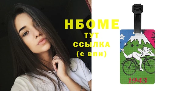 гашик Мегион