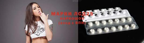 прущие крисы Медвежьегорск