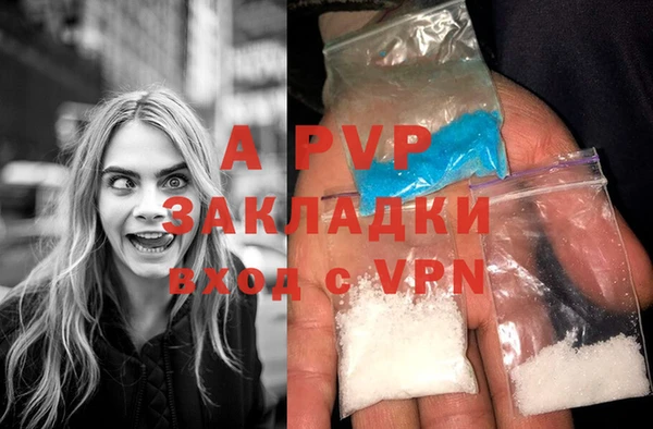 гашик Мегион