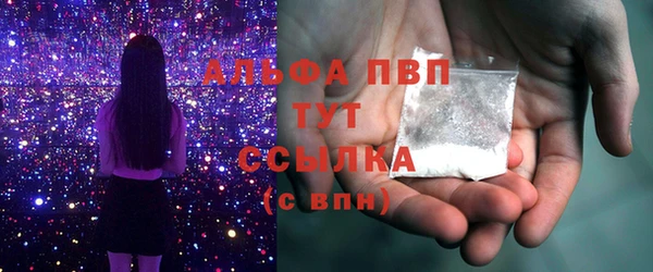 гашик Мегион