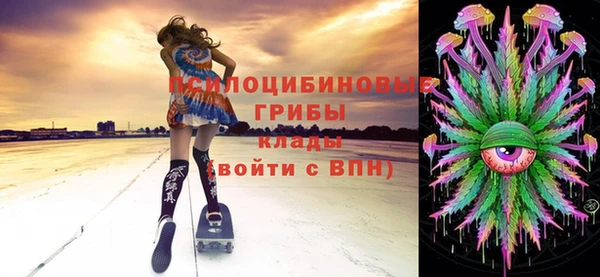гашик Мегион