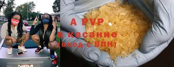 гашик Мегион