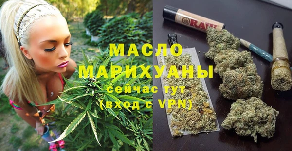 гашик Мегион