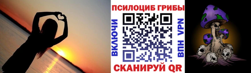 Галлюциногенные грибы Psilocybine cubensis  Иваново 