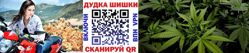 Марихуана сатива  Иваново 